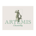 LOGO_artemis