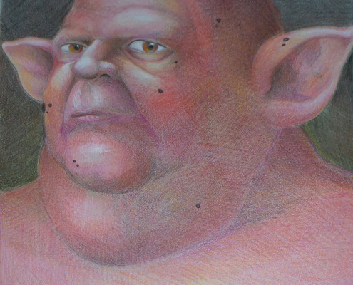 Milan_Portait de l'homme cochon 2015 50X65 cm Crayons de couleurs sur papier canson BABS Galerie